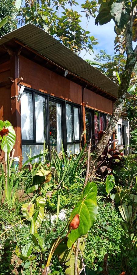 Jungleadventure Cabin Camping بيدوغول المظهر الخارجي الصورة